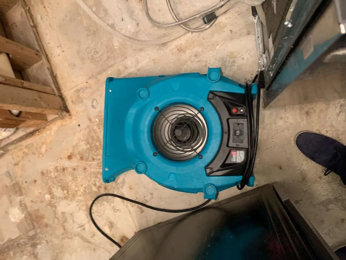 Air mover drying equipment for Mold Remediation & Removal in Harper Woods